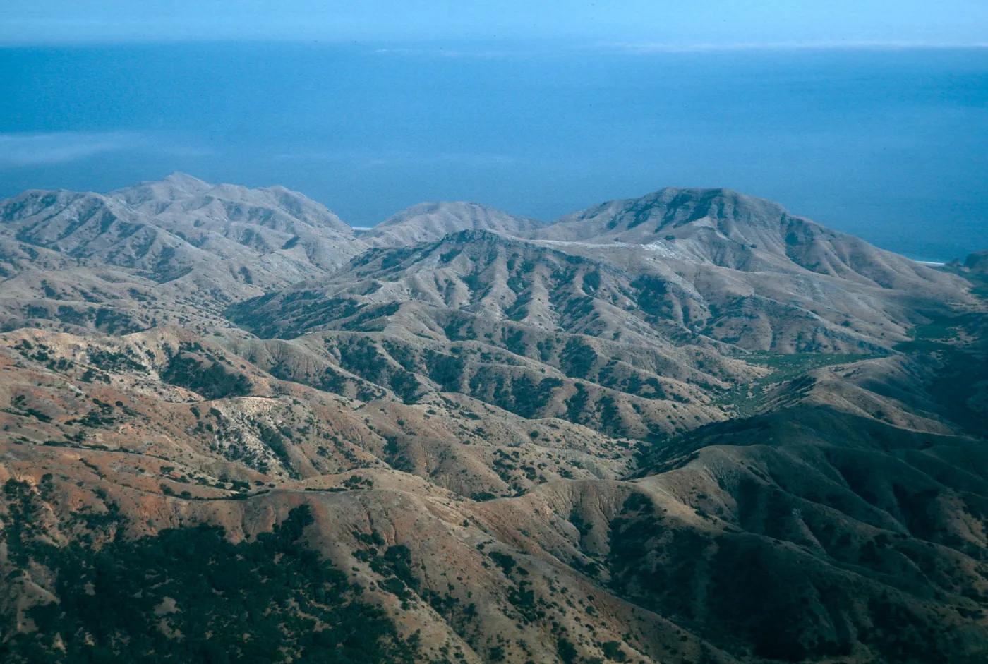 Laguna Canyon, Santa Cruz Island