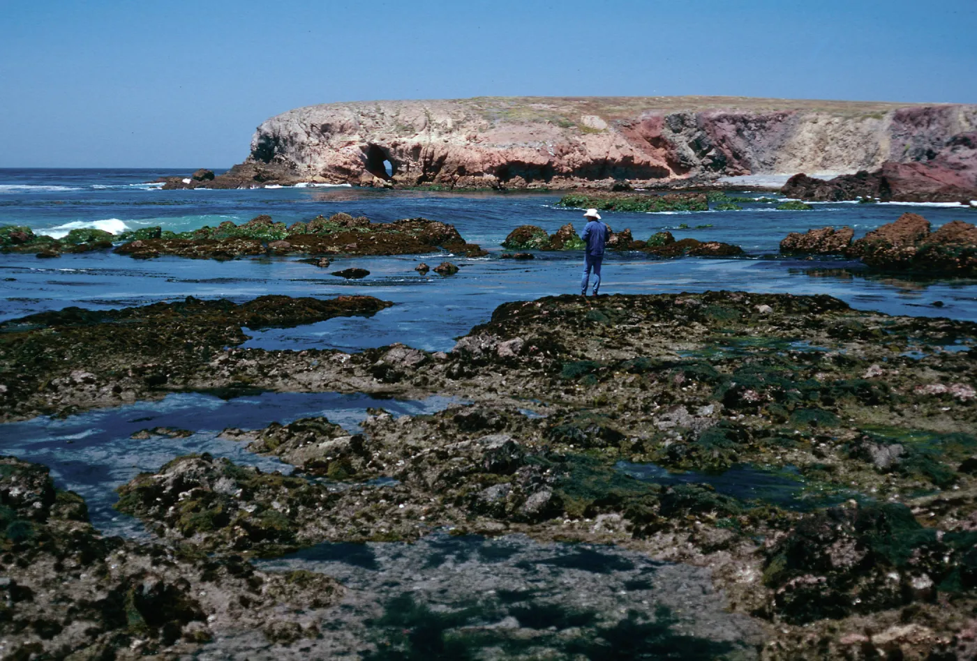 tide pools, Fraser Point, Santa Cruz Island