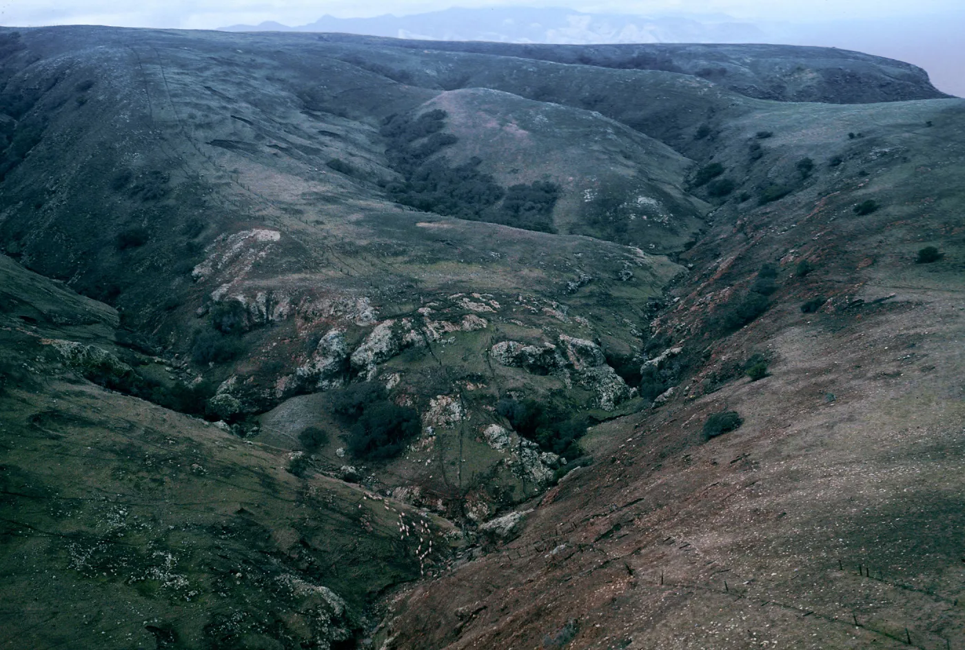 double sheep fence, (upper North fork of Smugglers Canyon ??), Santa Cruz Island