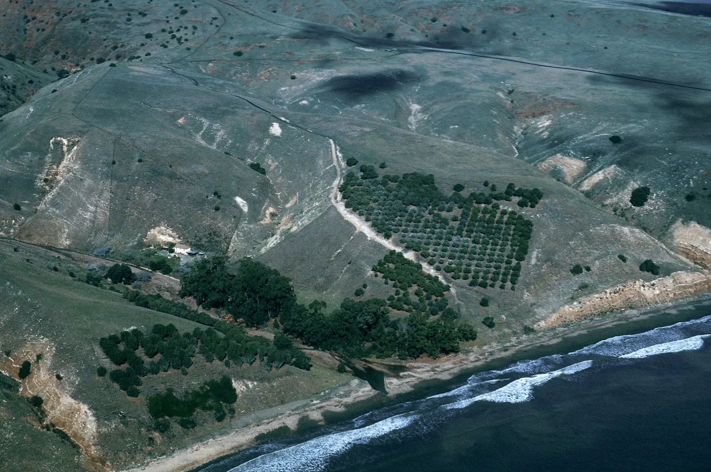Smugglers Cove & Ranch, Santa Cruz Island