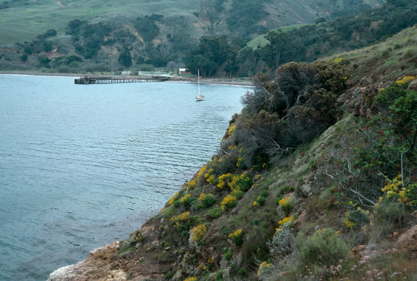 view of Prisoners Harbor, Santa Cruz Island