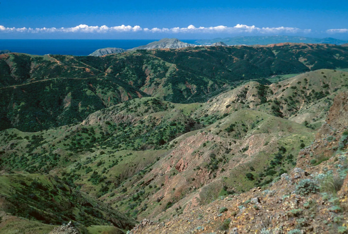 Central Valley from near Peak 1848 East, Santa Cruz Island
