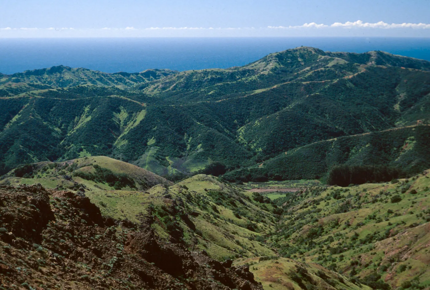 Central Valley from near Peak 1848 East, Santa Cruz Island