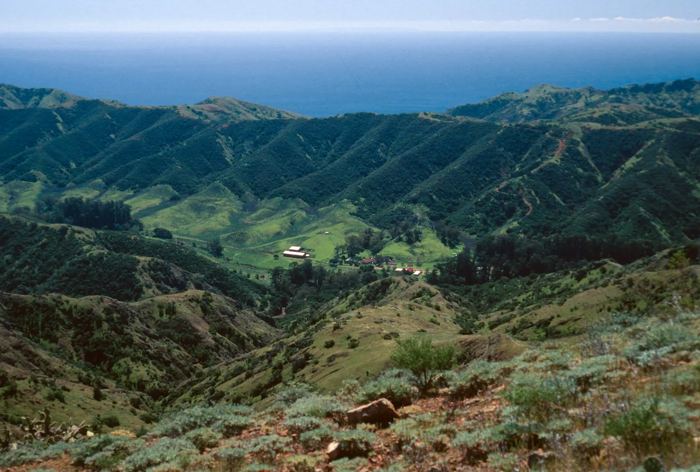Stanton Ranch from Red Peak, Santa Cruz Island