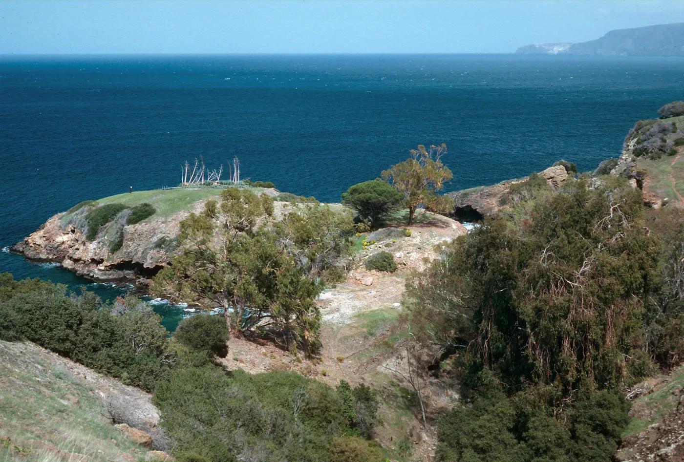 Pelican Bay, Santa Cruz Island