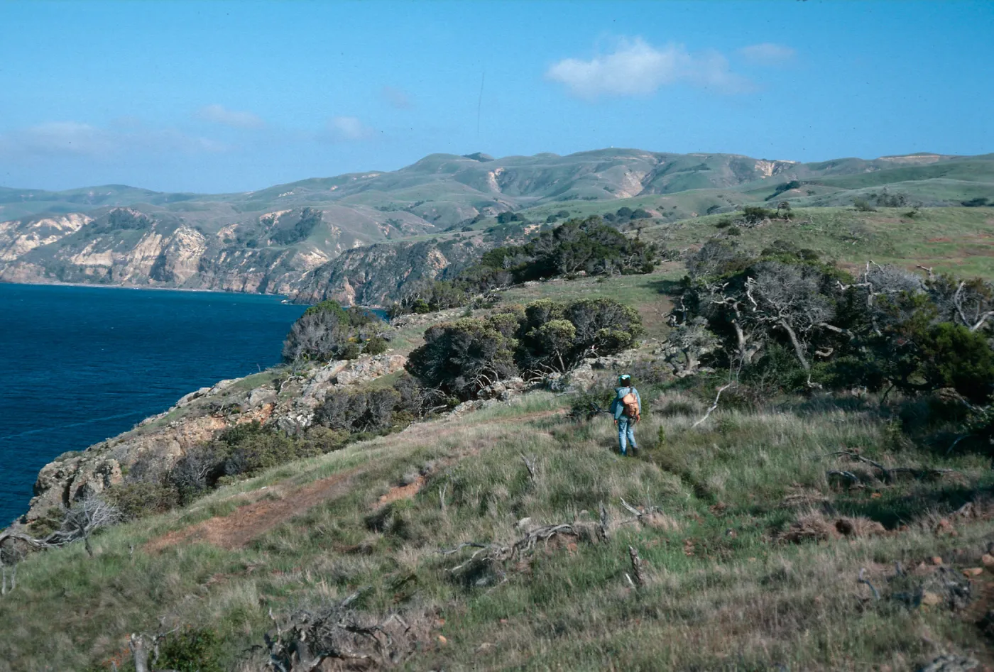 East of Pelican Bay, Santa Cruz Island