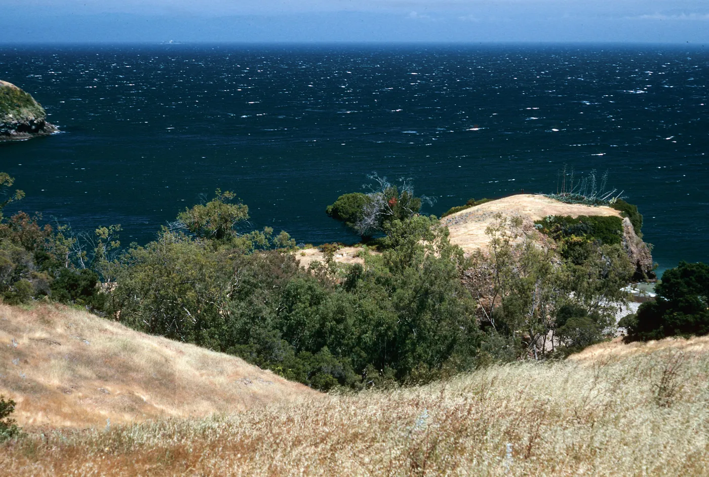 Pelican Bay, Santa Cruz Island