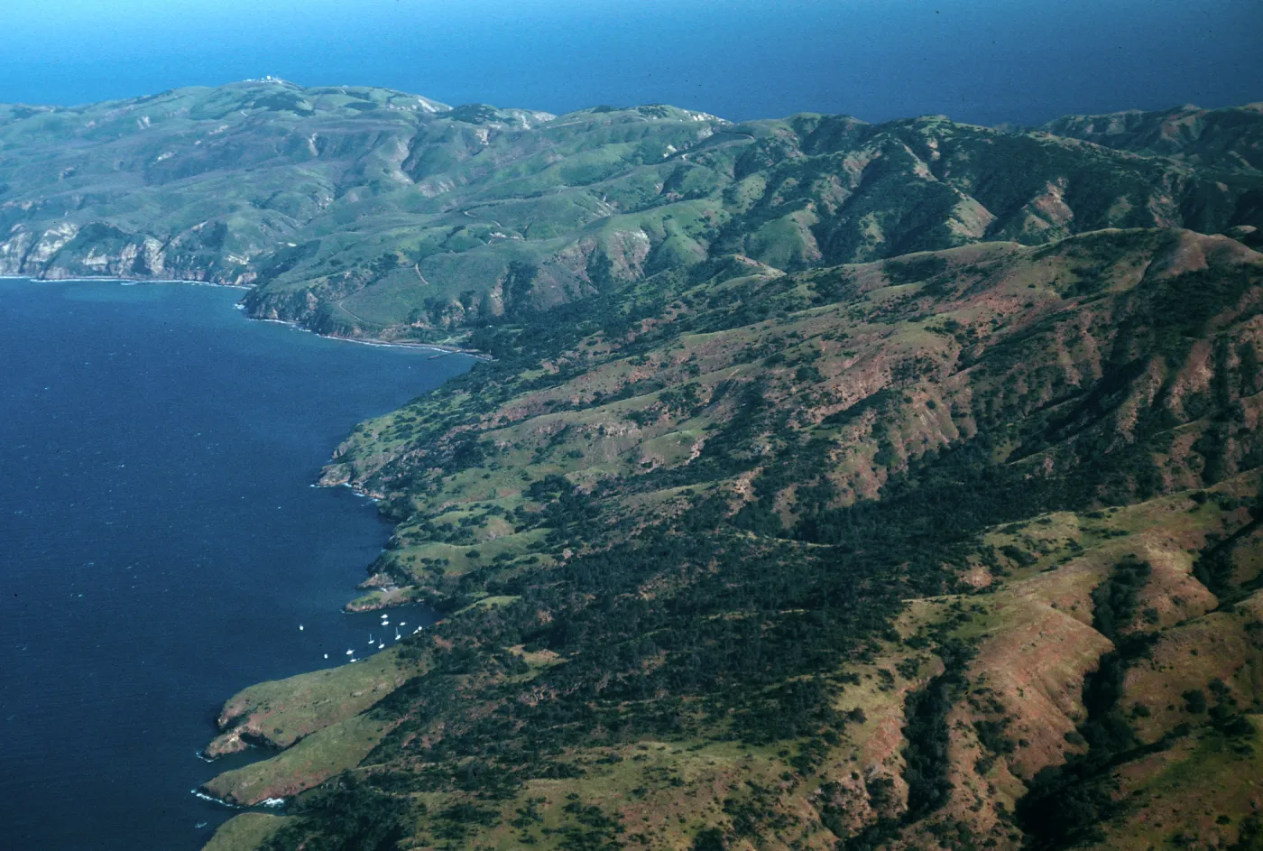 Pelican Bay to Prisoners Harbor, Santa Cruz Island