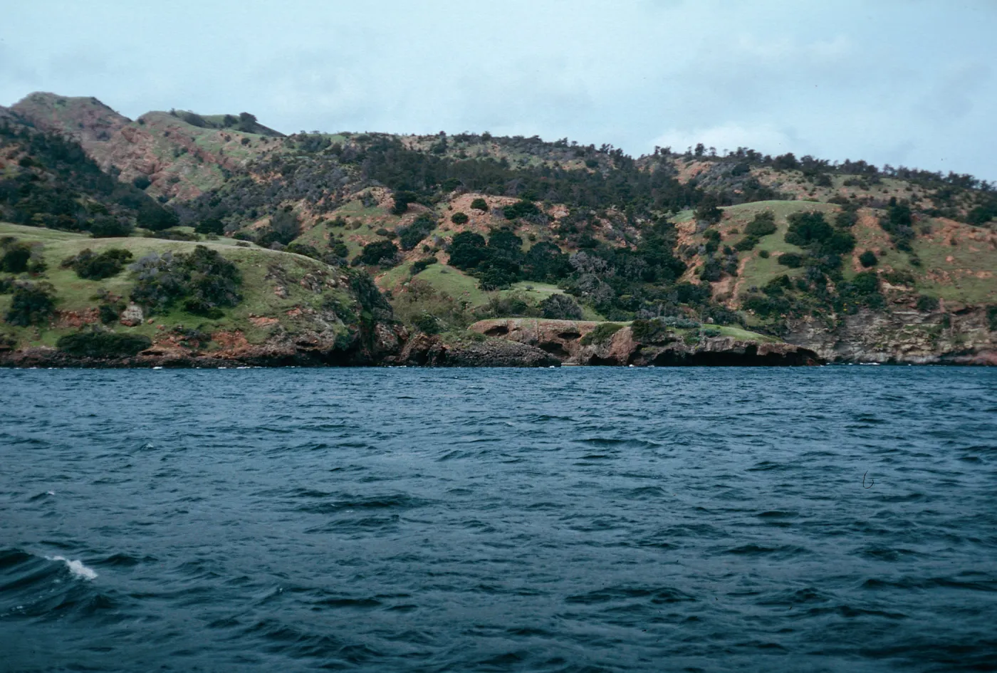 between Pelican Bay & Prisoners Harbor, Santa Cruz Island