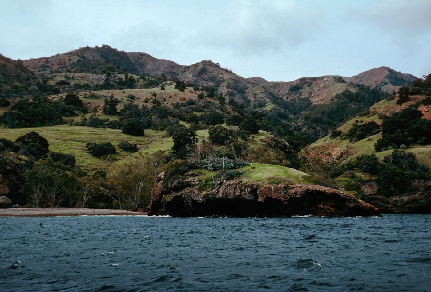Tinkers, Pelican Bay, Santa Cruz Island