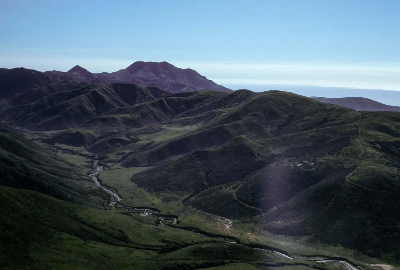 Sauces Canyon, Santa Cruz Island