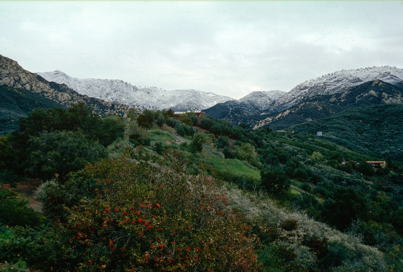 snow on Santa Ynez Mountains, East slope, Santa Barbara Botanic Garden
