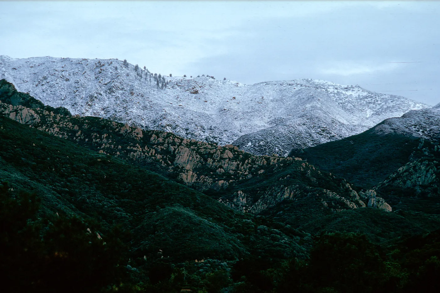 snow on Santa Ynez Mountains, East slope, Santa Barbara Botanic Garden