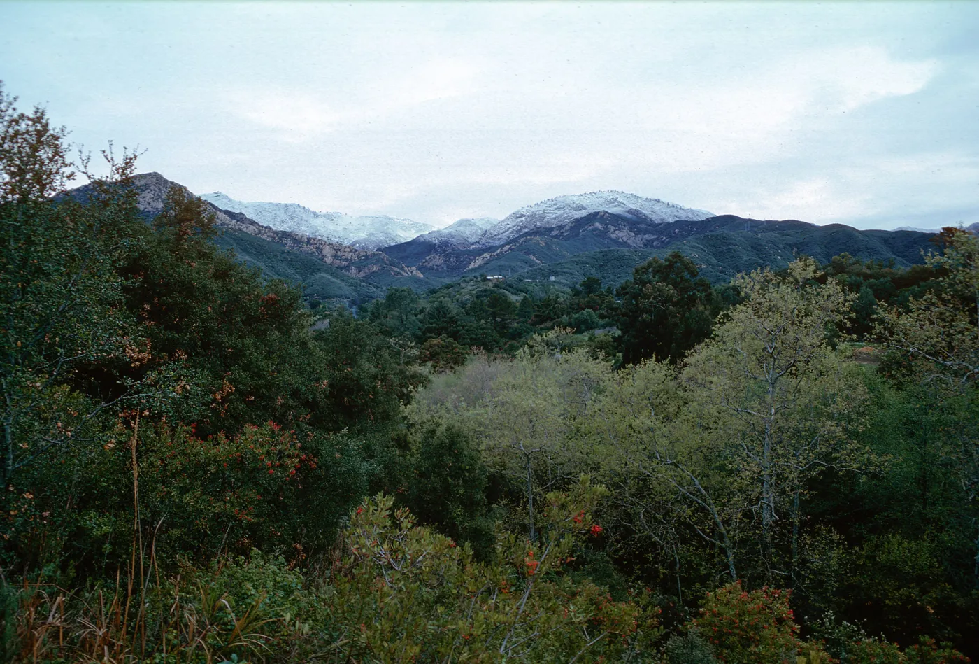 snow on Santa Ynez Mountains, Mission Canyon, Santa Barbara County