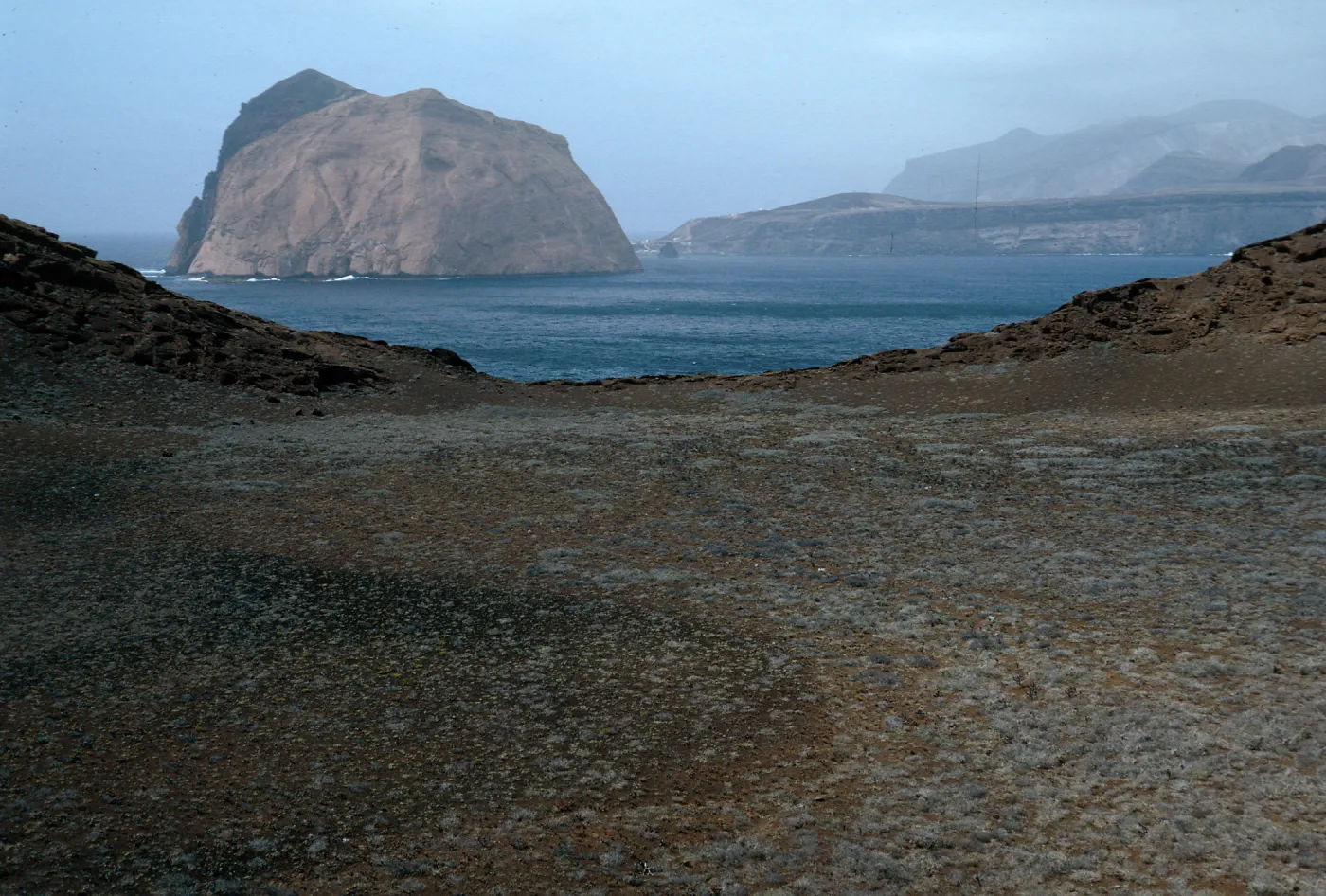 Guadalupe Island