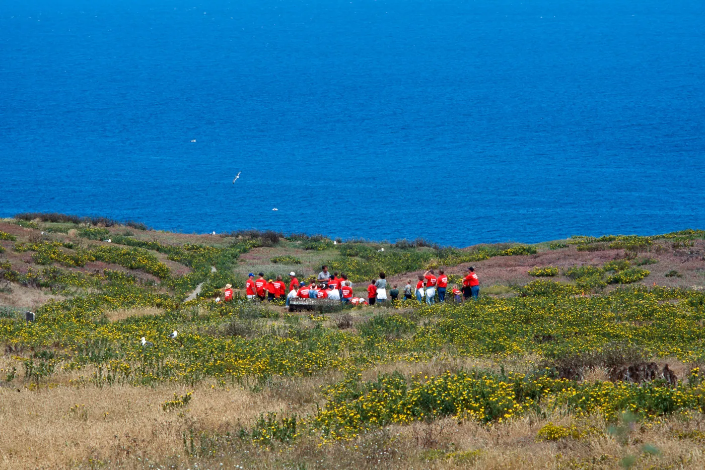 guided tour, East Anacapa Island