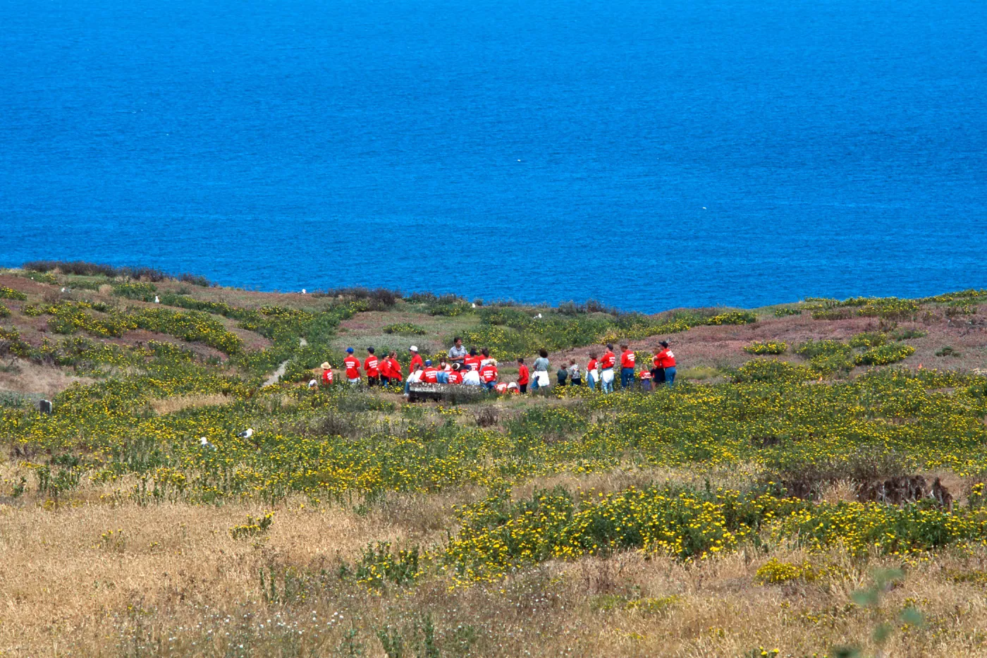 guided tour, East Anacapa Island