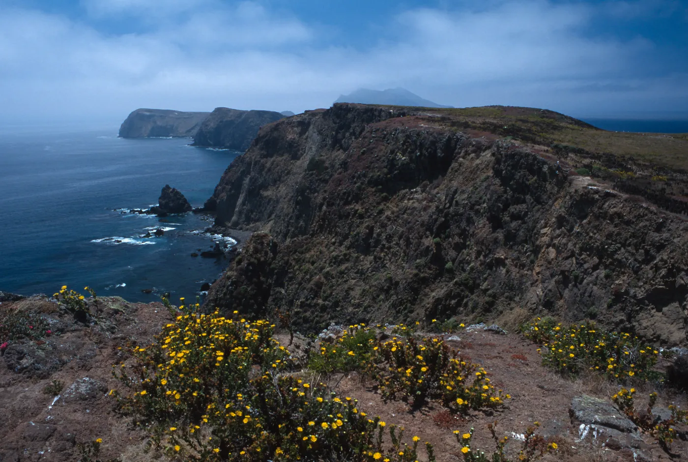 East Anancapa Island--bluffs on S side