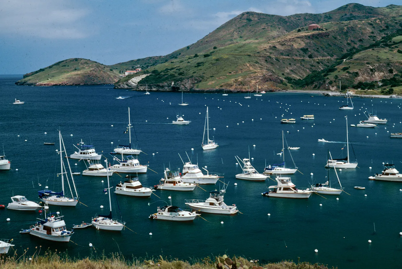 Santa Catalina Island, Isthmus Cove