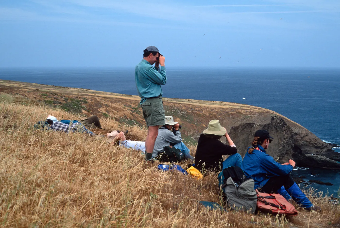 Santa Barbara Island, Birdwatching group