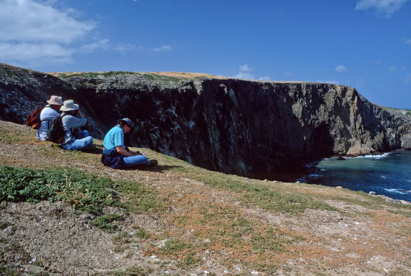 Santa Barbara Island, overlooking Webster Point