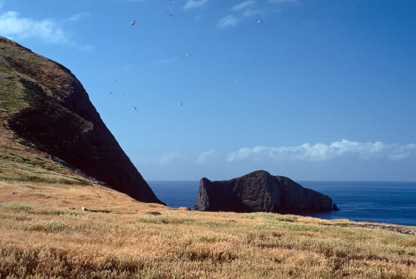 Santa Barbara Island, Sutil Island view
