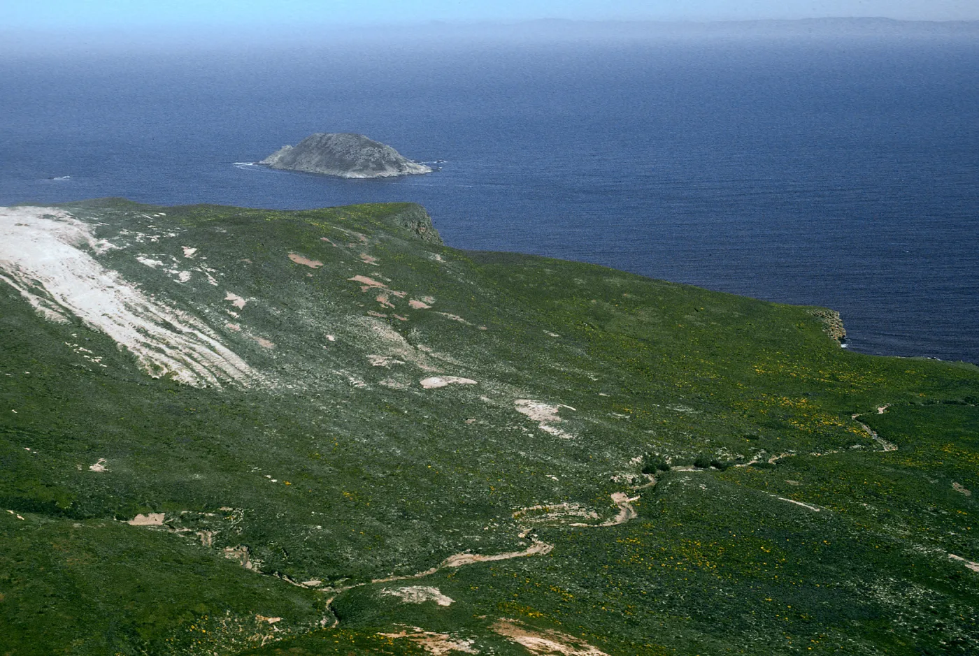 San Miguel Island, NE end by Willow Canyon