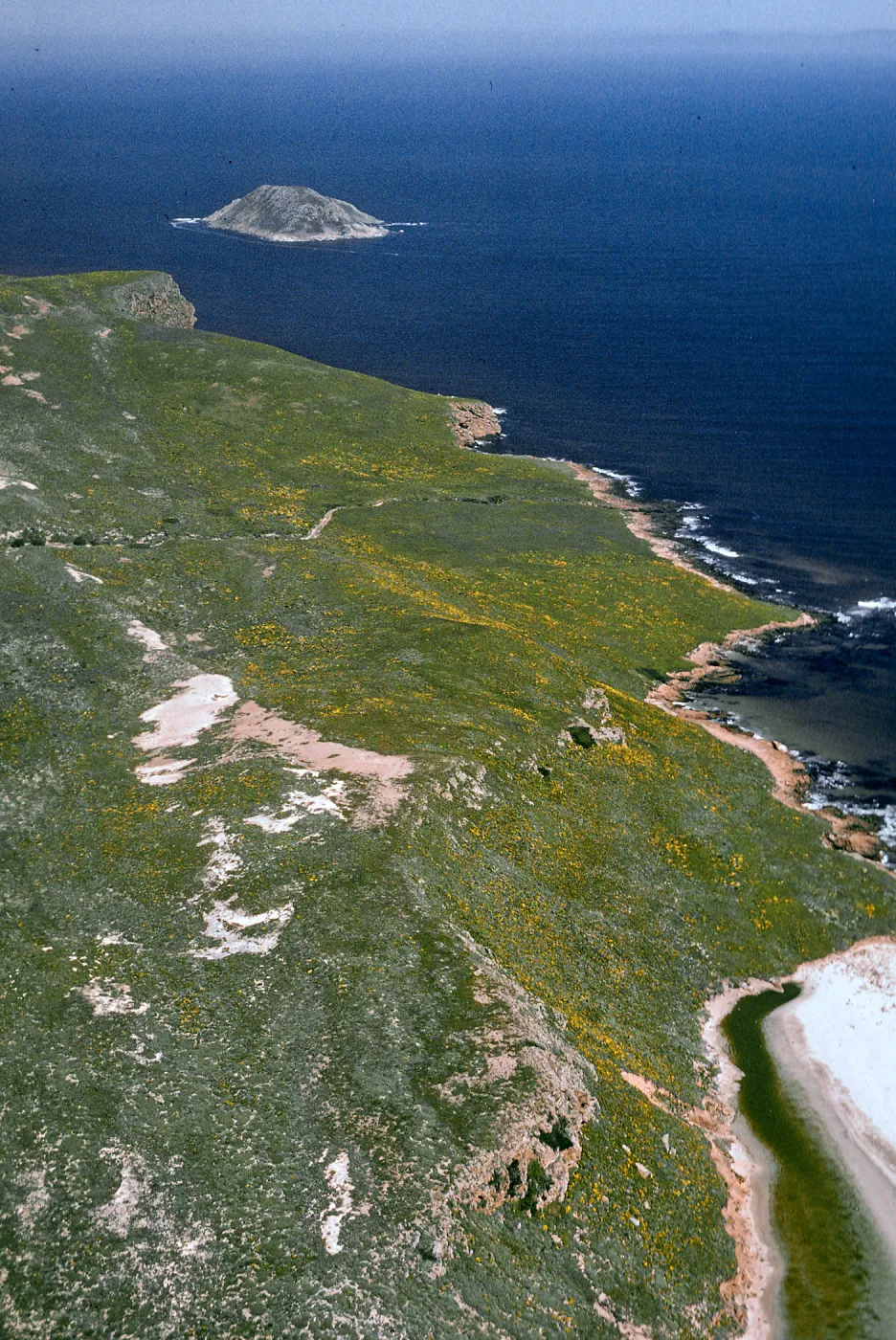San Miguel Island, NE end from Cardwell Point area