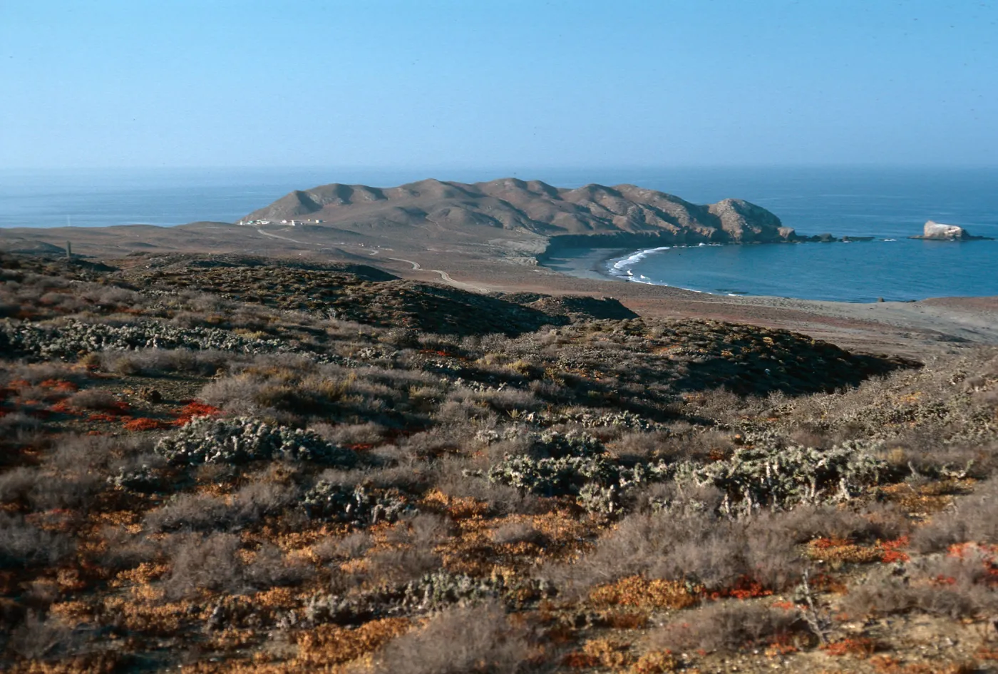 Natividad Island