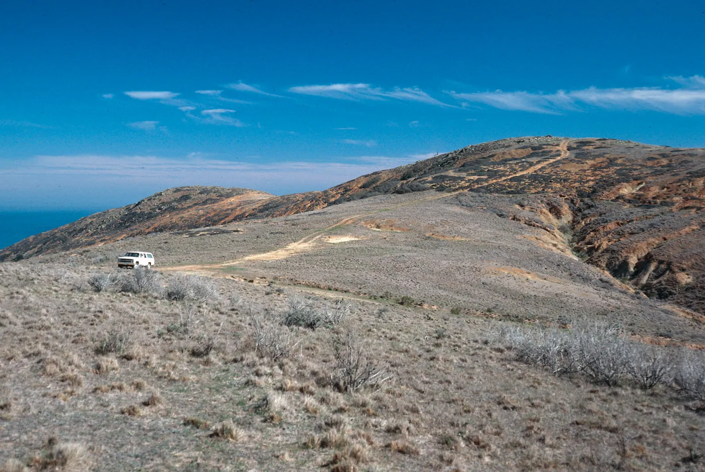 Stipa grassland, saddle on South Point Road (between Peak 1017 & Sount Point), Santa Rosa Island