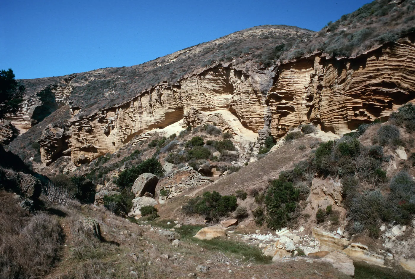 Lobo Canyon, Santa Rosa Island