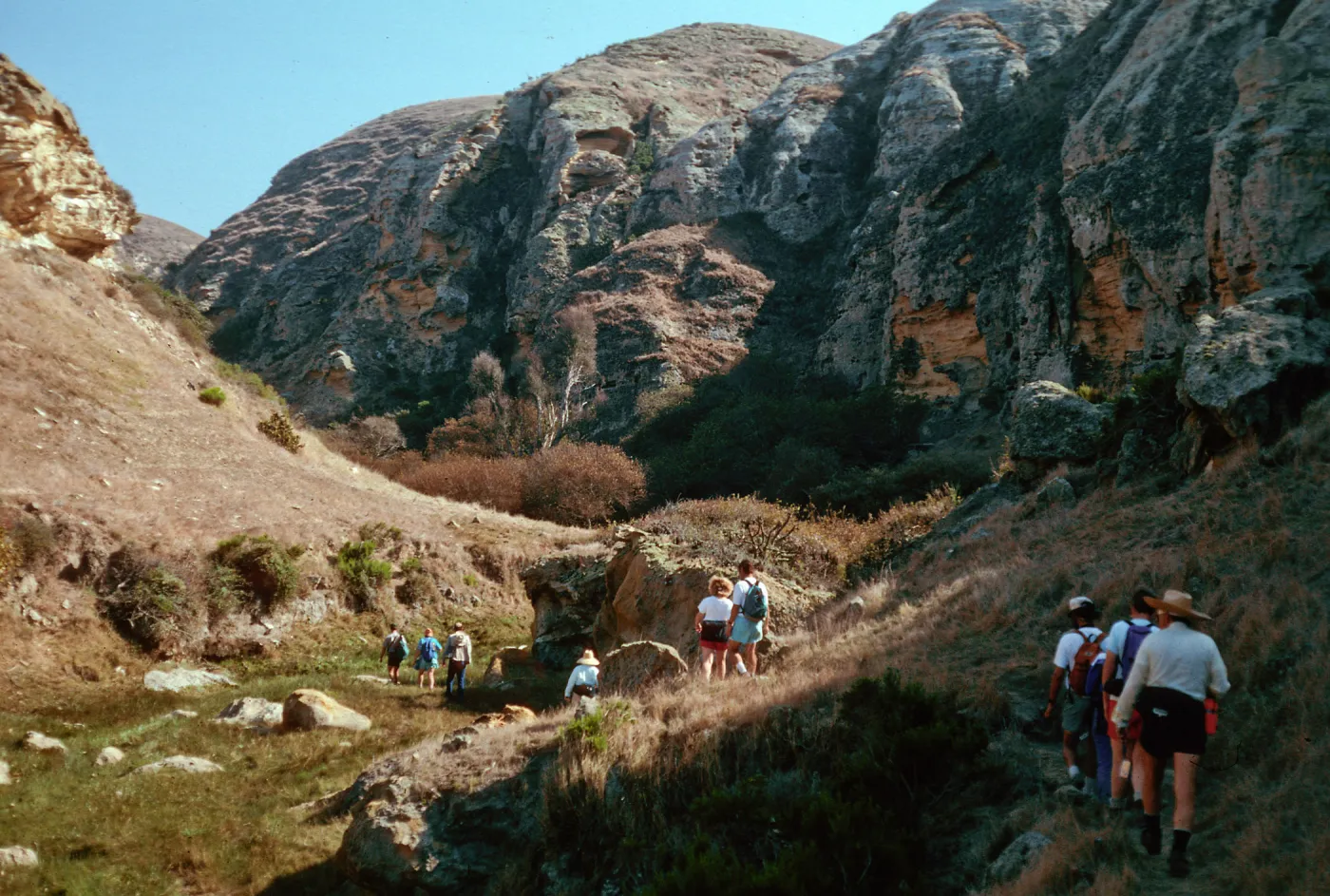Lobo Canyon, Santa Rosa Island