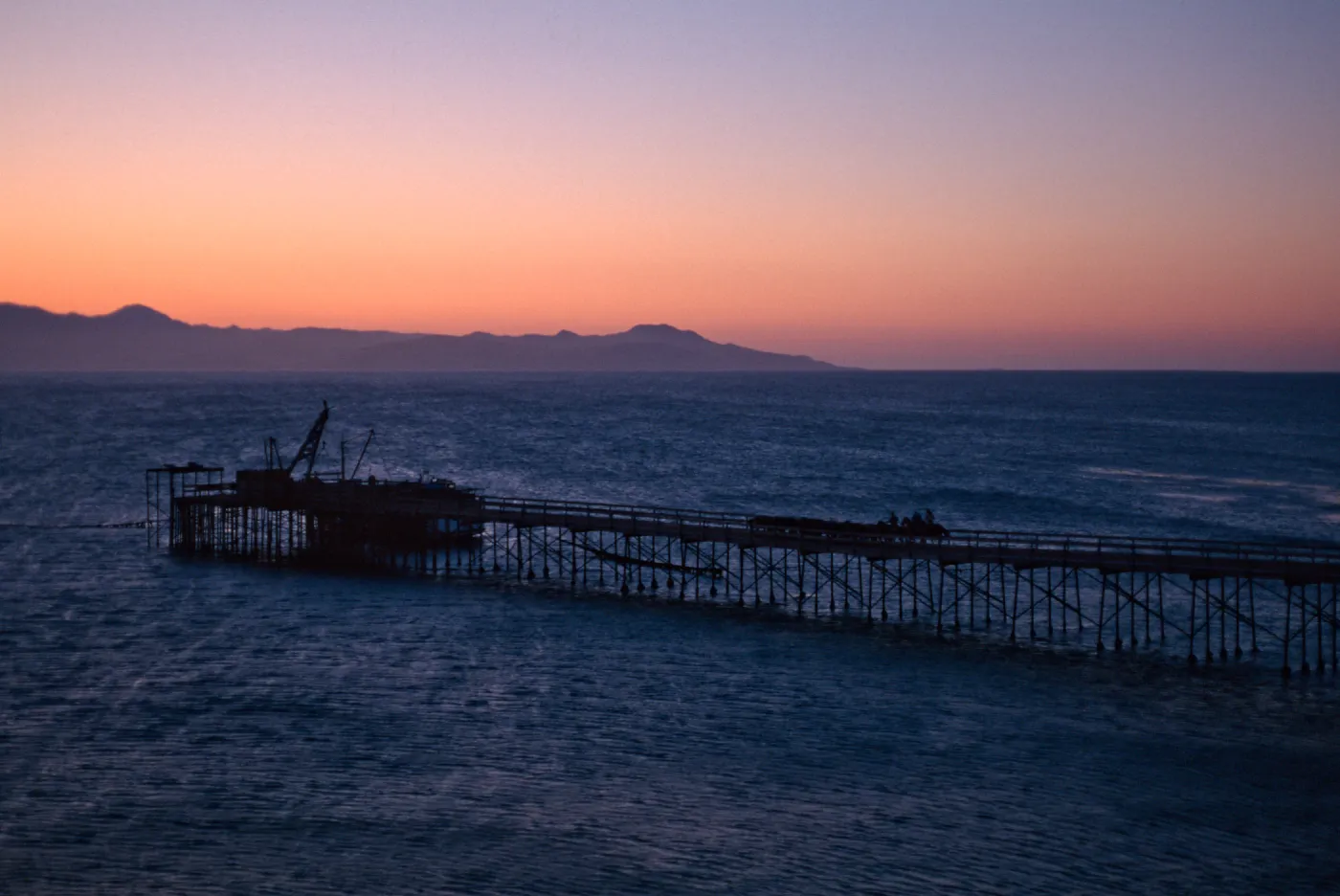 cattle drive at dawn, Vail Ranch, Santa Rosa Island