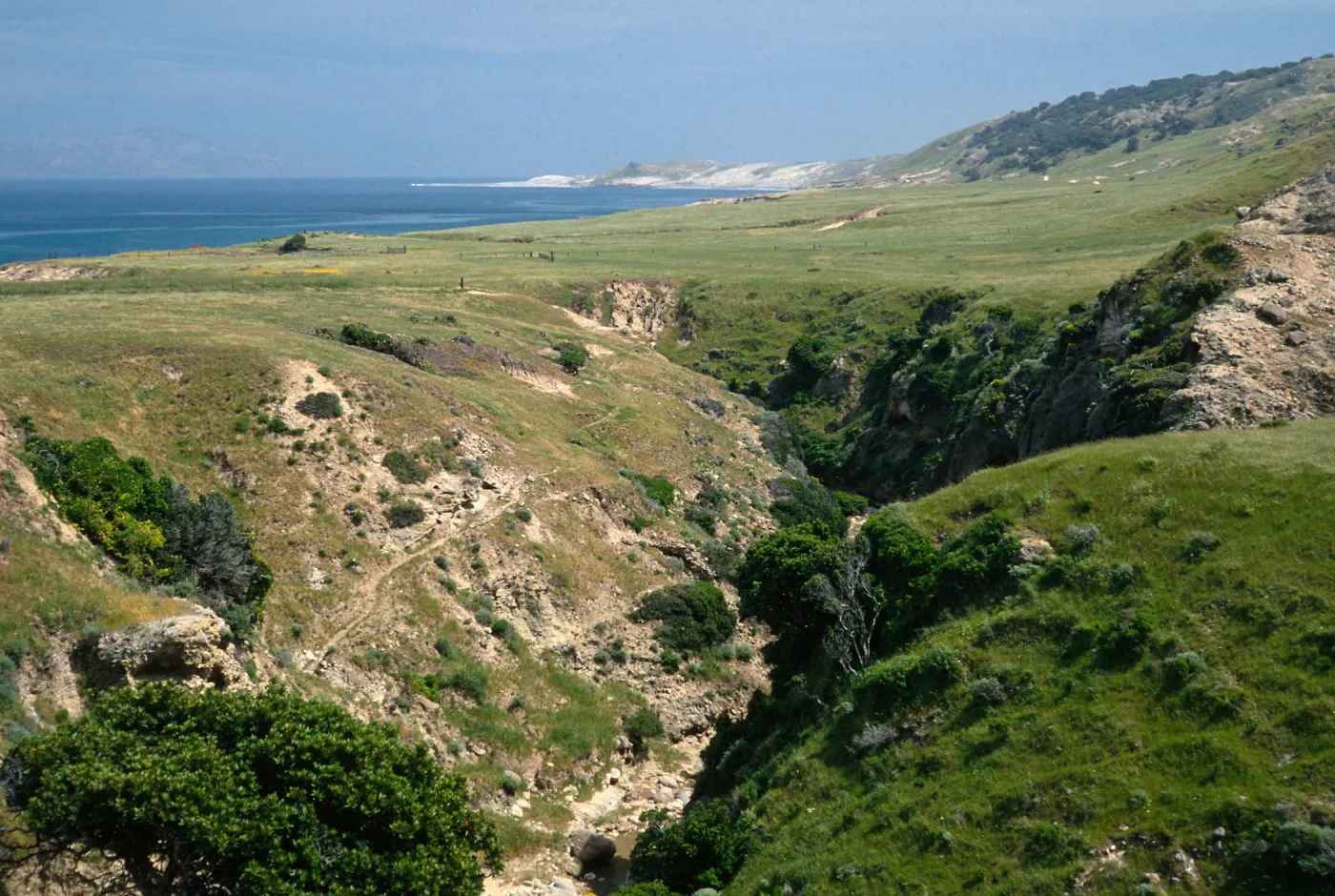 Water Canyon, Santa Rosa Island
