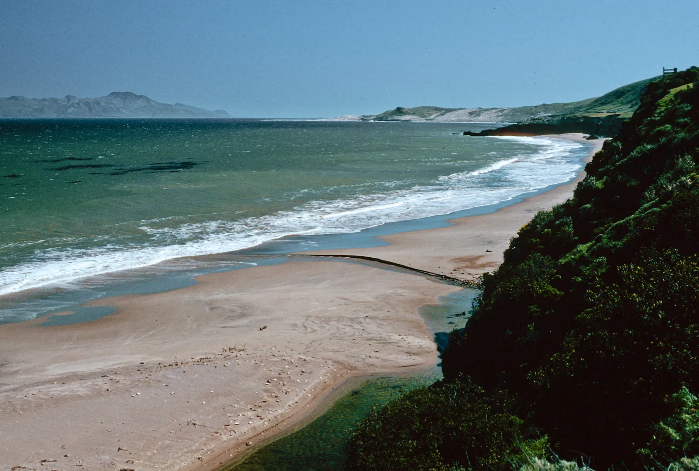 beach at Water Canyon, Santa Rosa Island