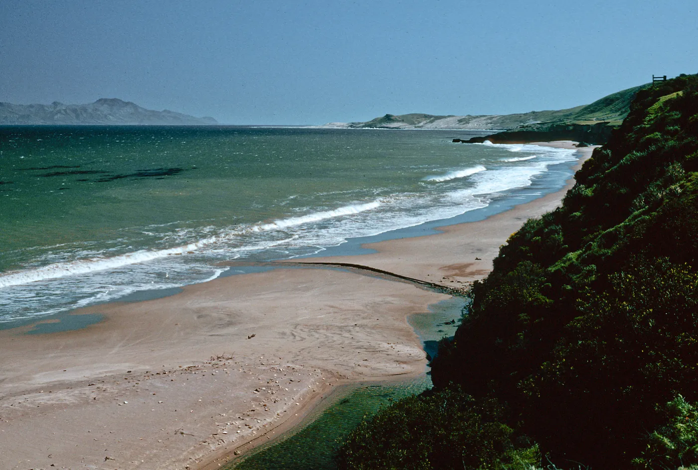 beach at Water Canyon, Santa Rosa Island