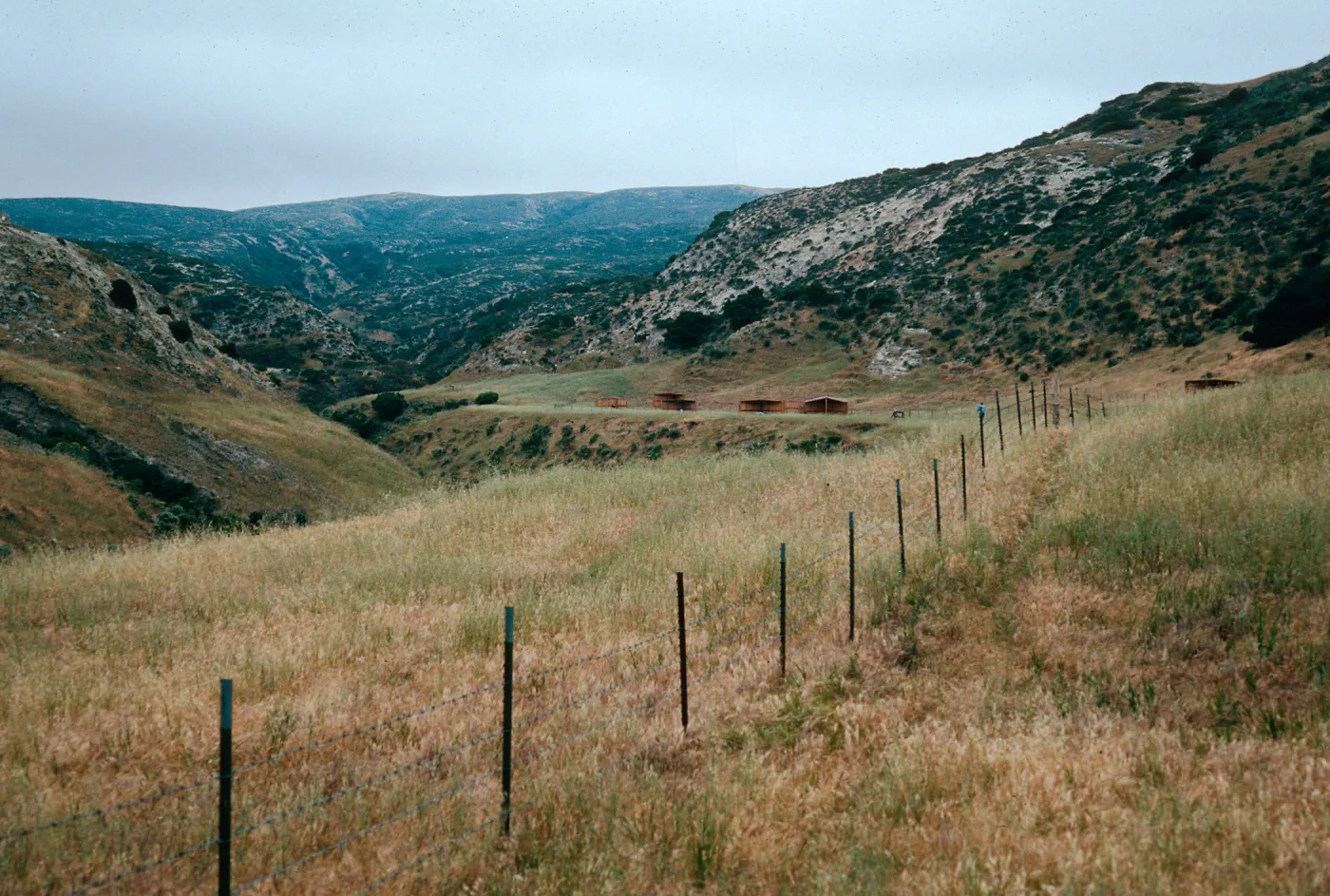 campground, Water Canyon, Santa Rosa Island