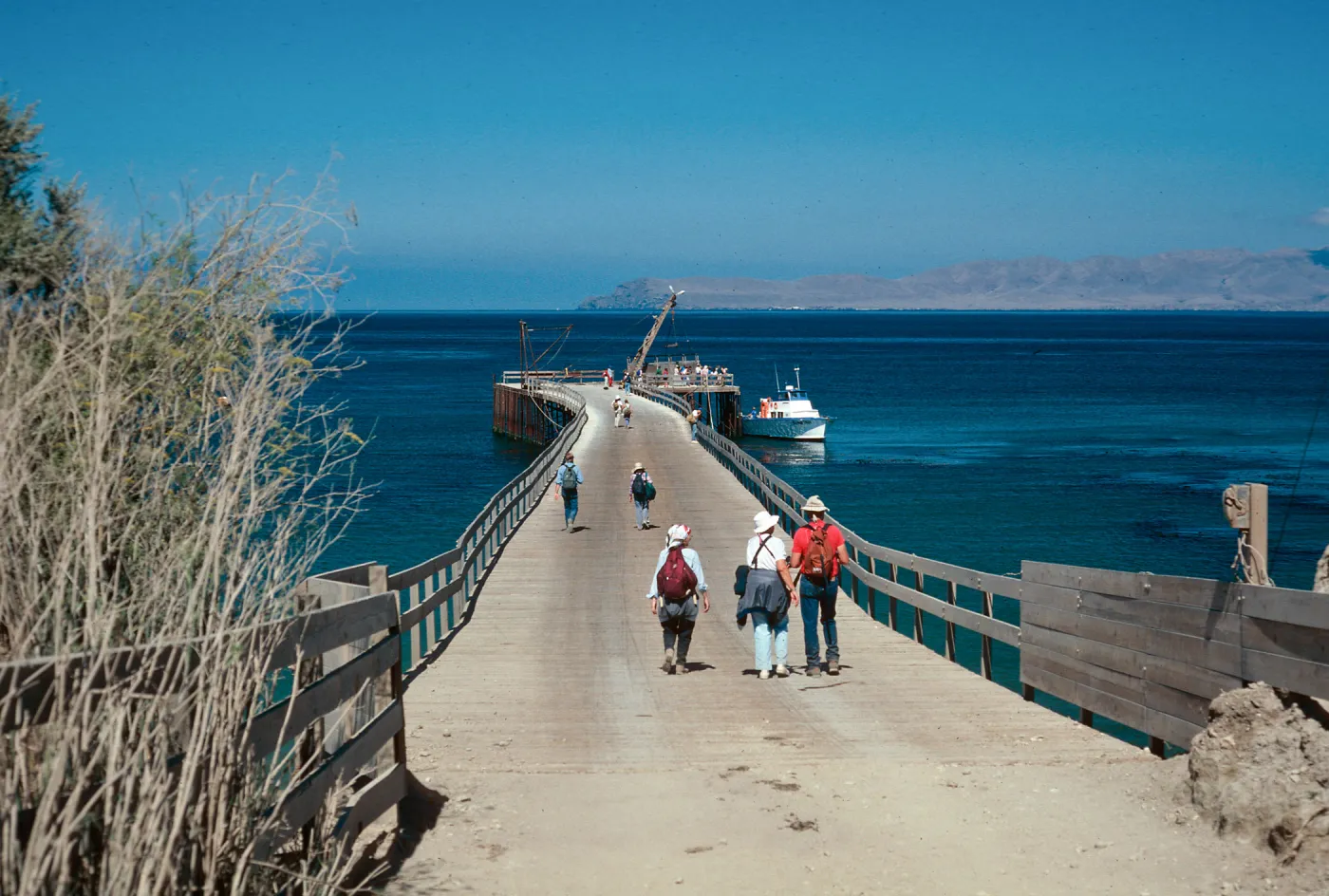 wharf, Beechers Bay, Santa Rosa Island