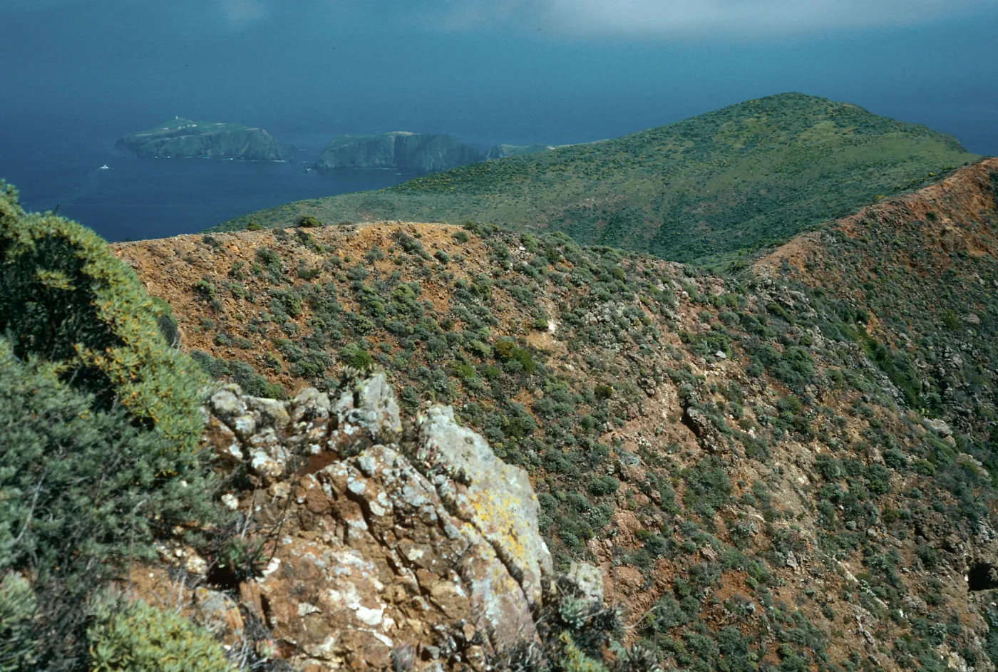 ridge, view of East Anacapa Island, West of Camel Peak, West Anacapa Island