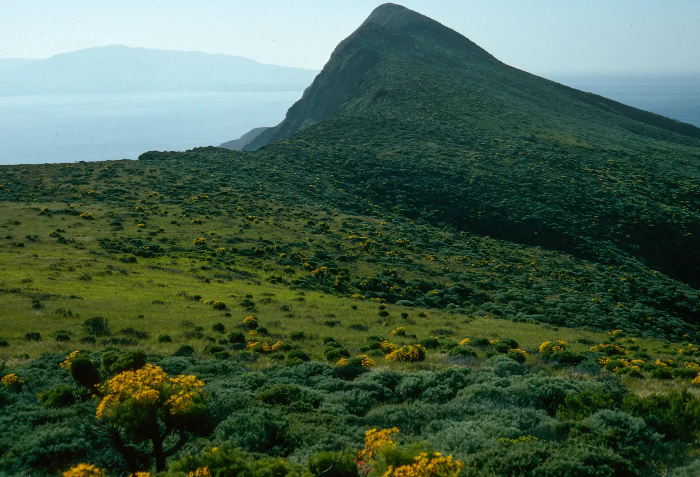 Summit Peak from Western flanks of Camel Peak, West Anacapa Island