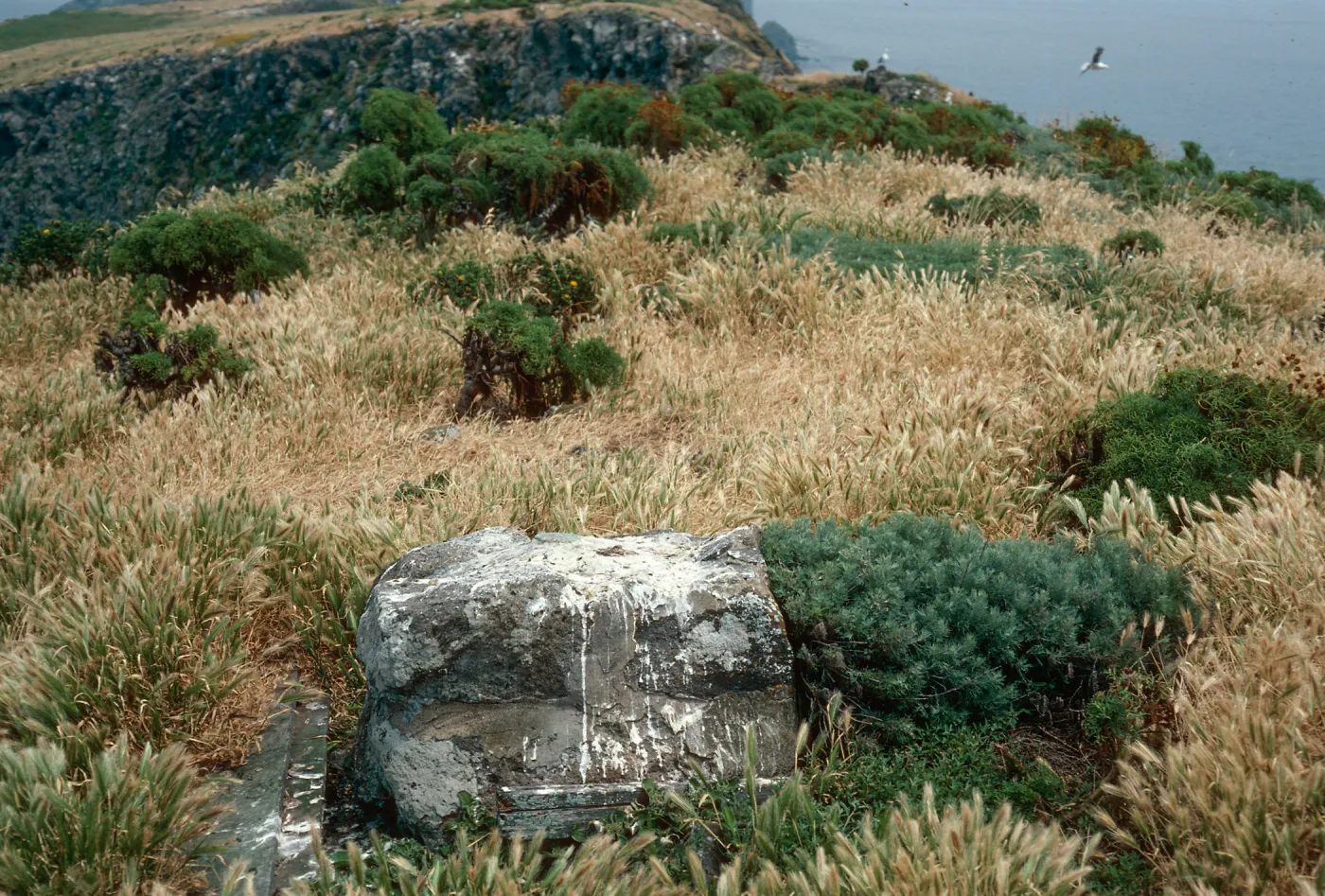 Δ Anacapa (1876), East of Knife Edge, Middle Anacapa Island