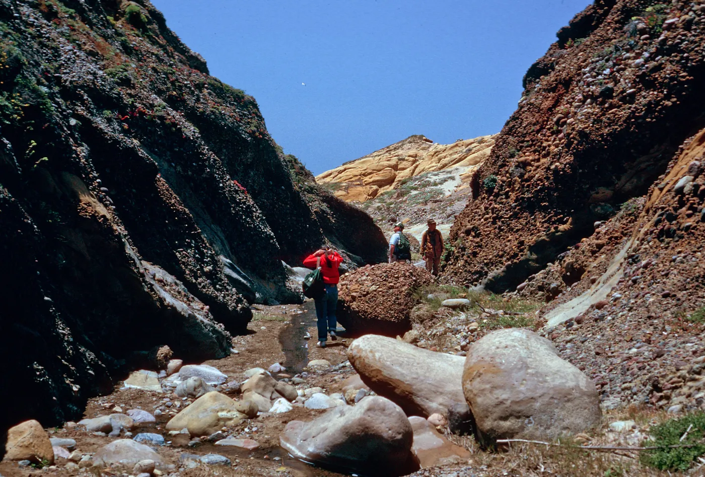 lower Sauces Canyon, Santa Cruz Island