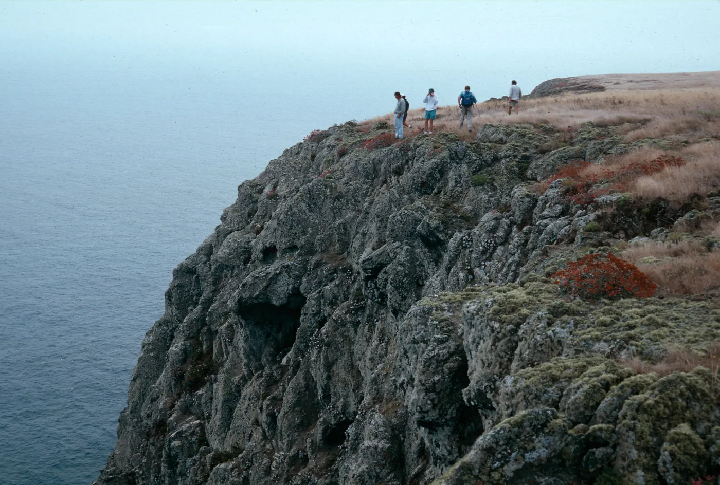 bluffs, East of West Point, Santa Cruz Island