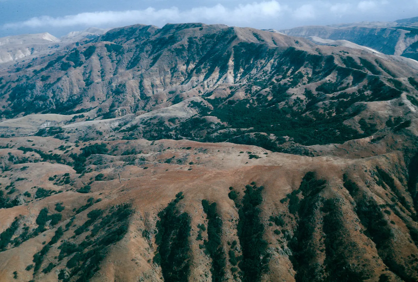 El MontaÃ±on ridge, North side, Santa Cruz Island
