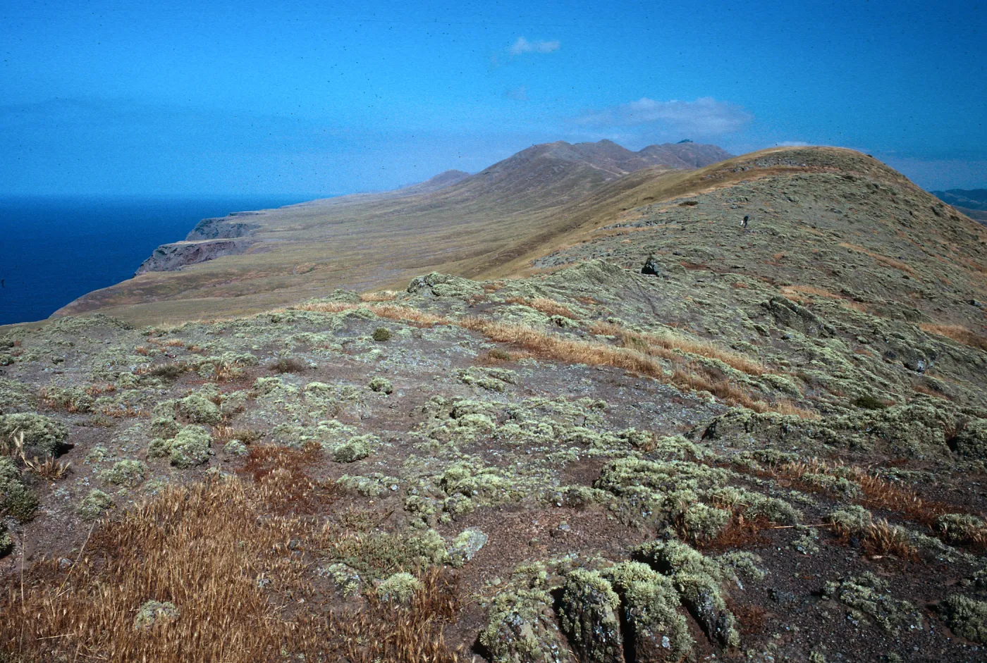 West Point ridge, looking West, Santa Cruz Island