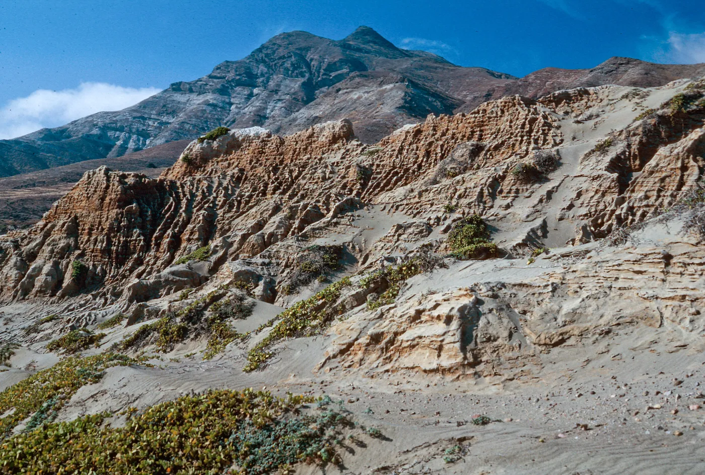 hills, just West of Punta Arena - Sierra Blanca in background, Santa Cruz Island