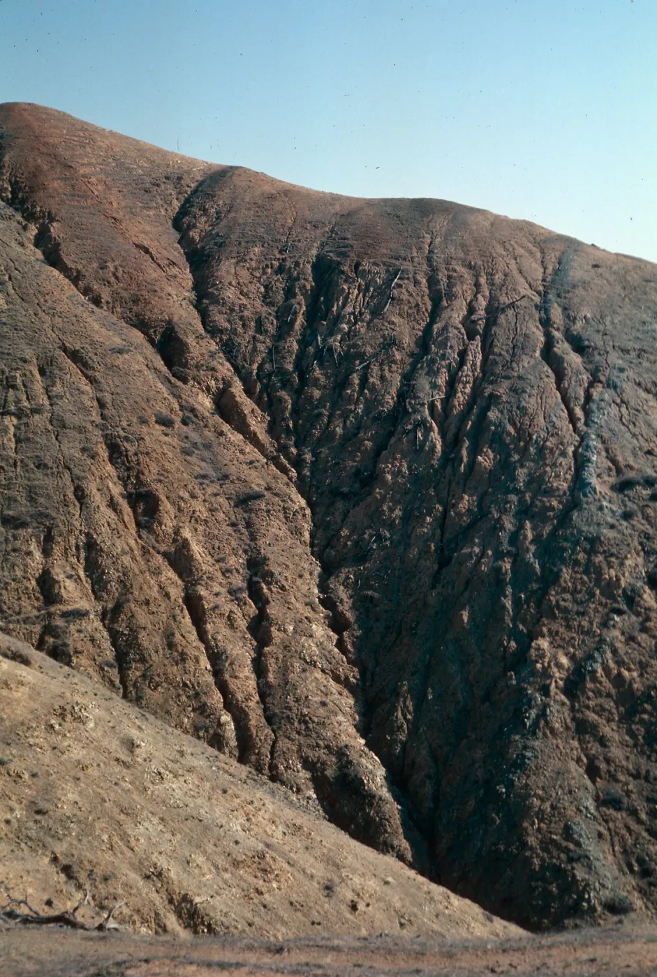sheep damage and erosion, upper Laguna Canyon, Santa Cruz Island