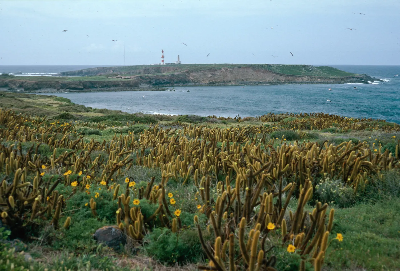 Todos Santos Island