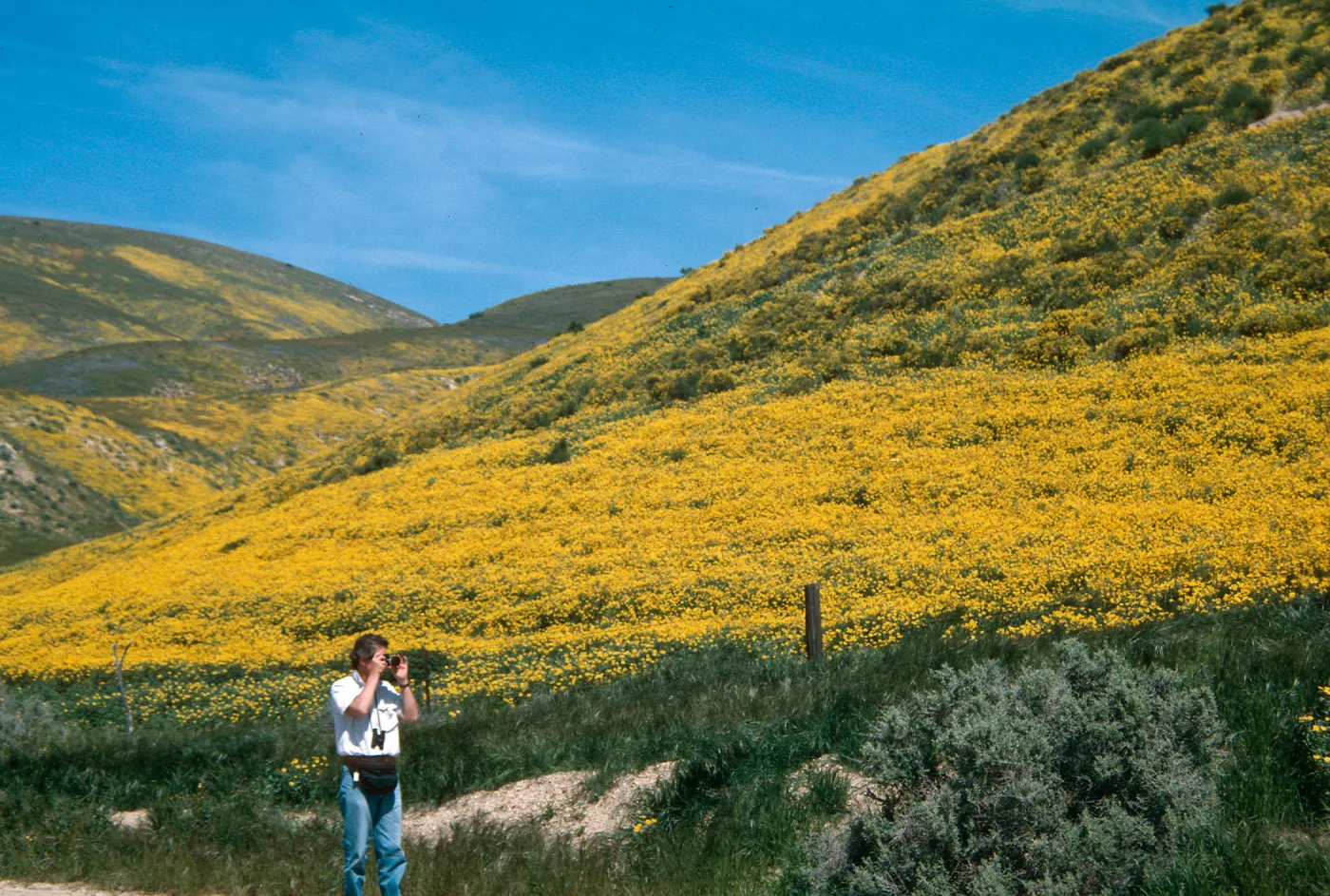 Highway 58, Temblor Range