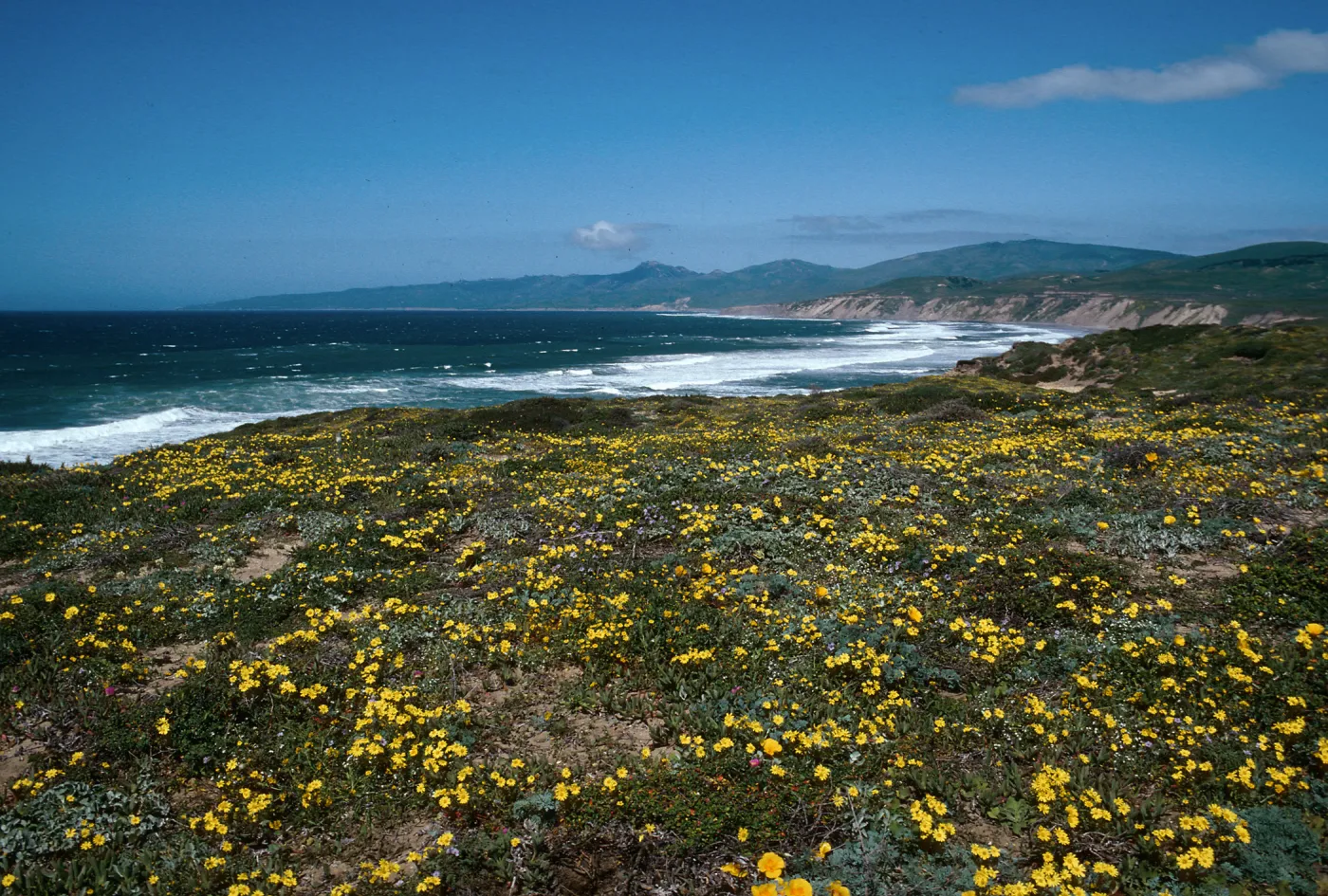 Cojo, Jalama